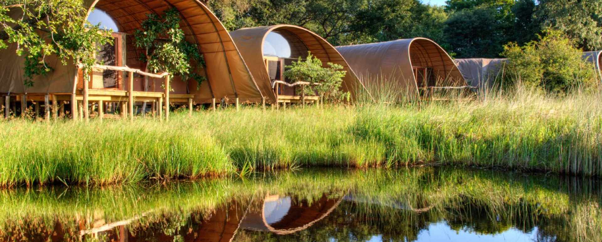 Reed mosasa rooms 