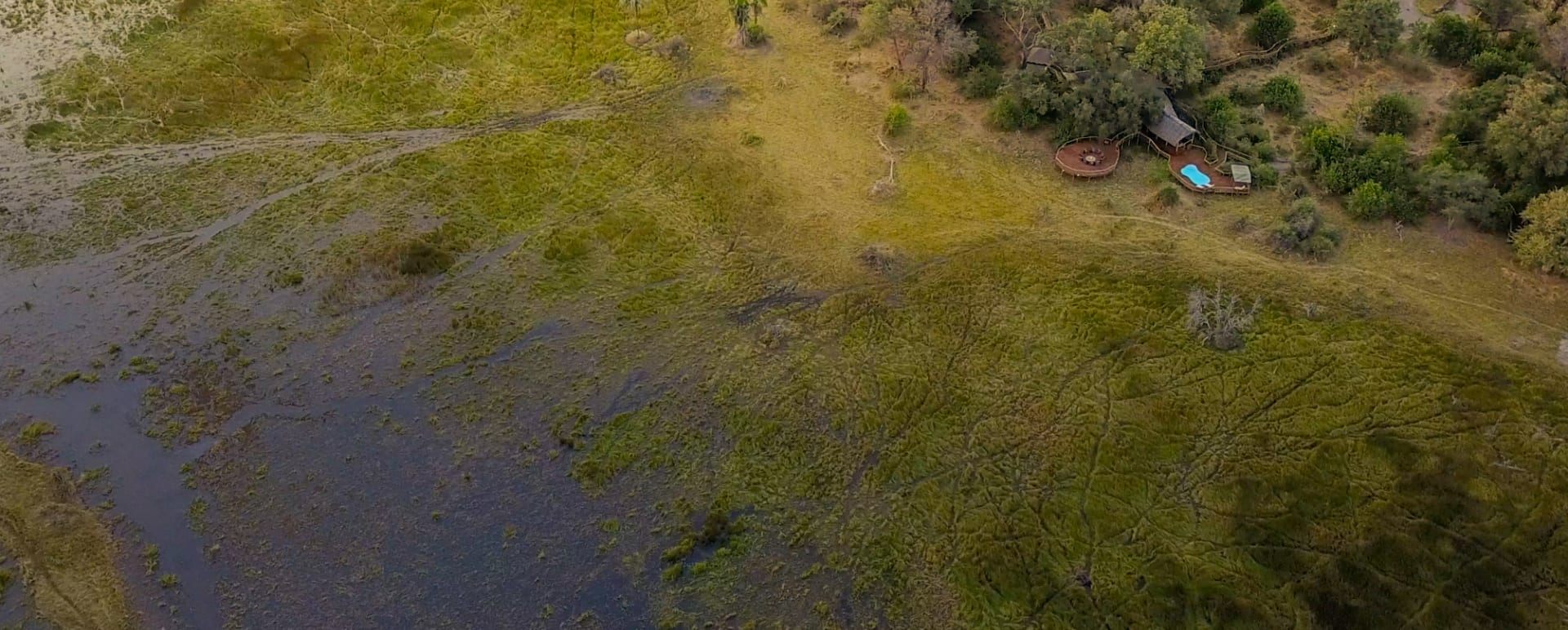 Aerial  