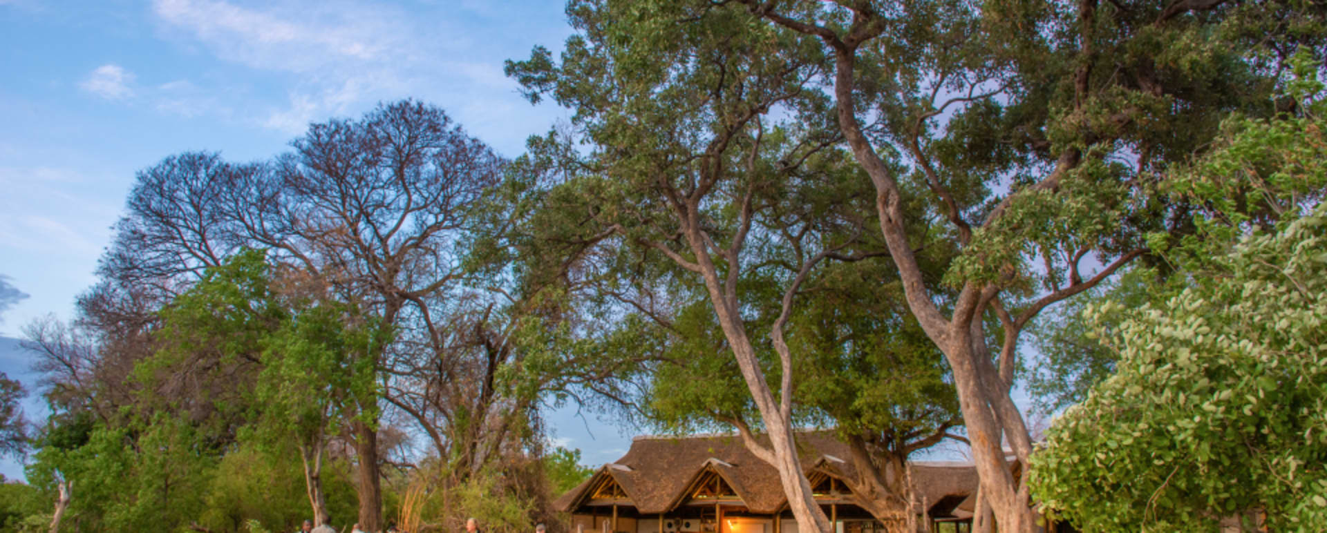 Main camp 