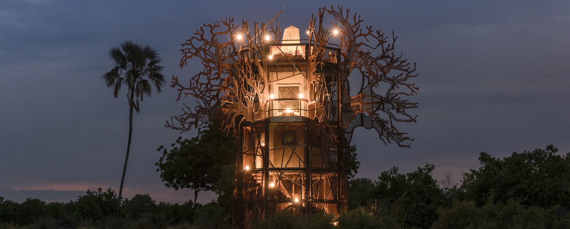 Baobab  
