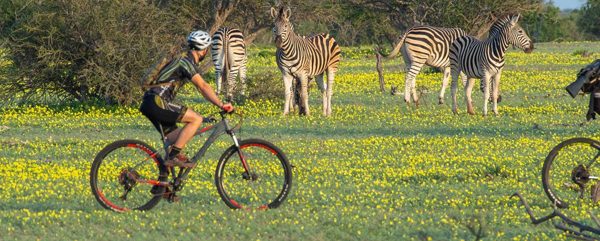 Cycling Safaris