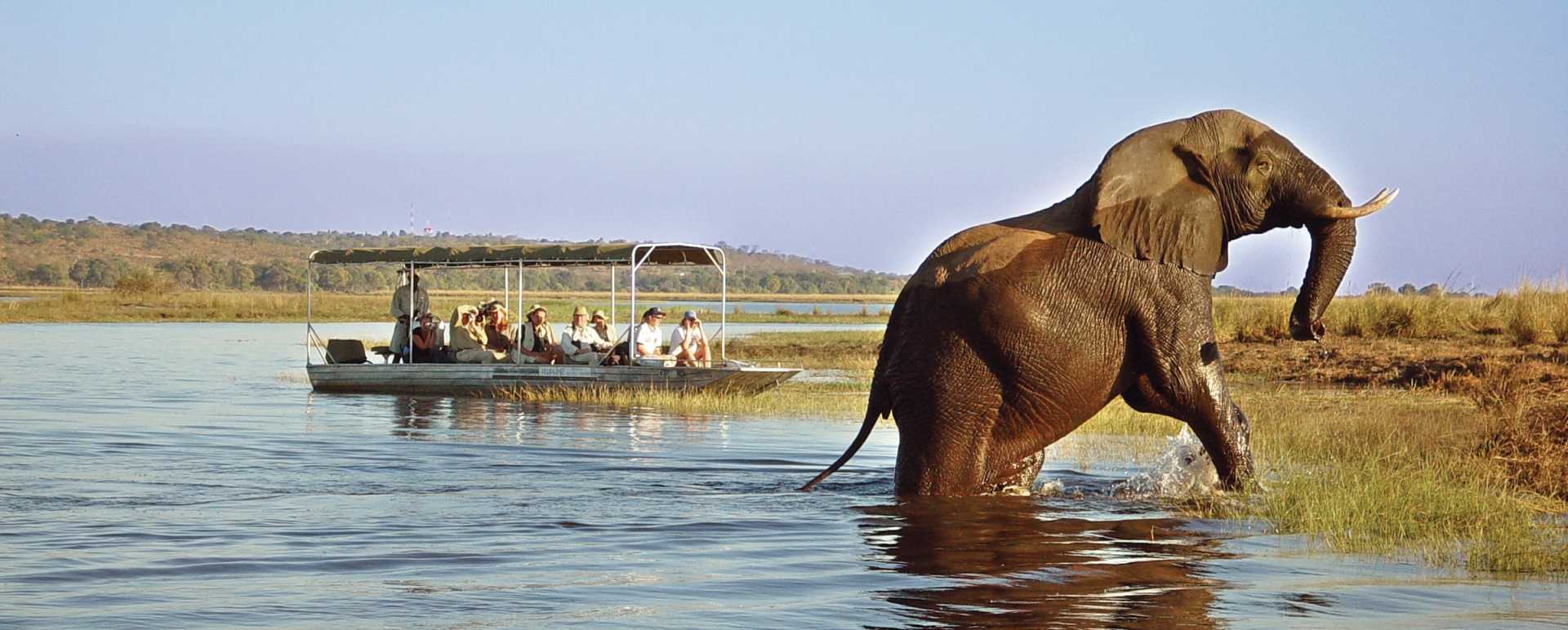 Boat trip on Zambezi - Highlights of Victoria Falls & Botswana