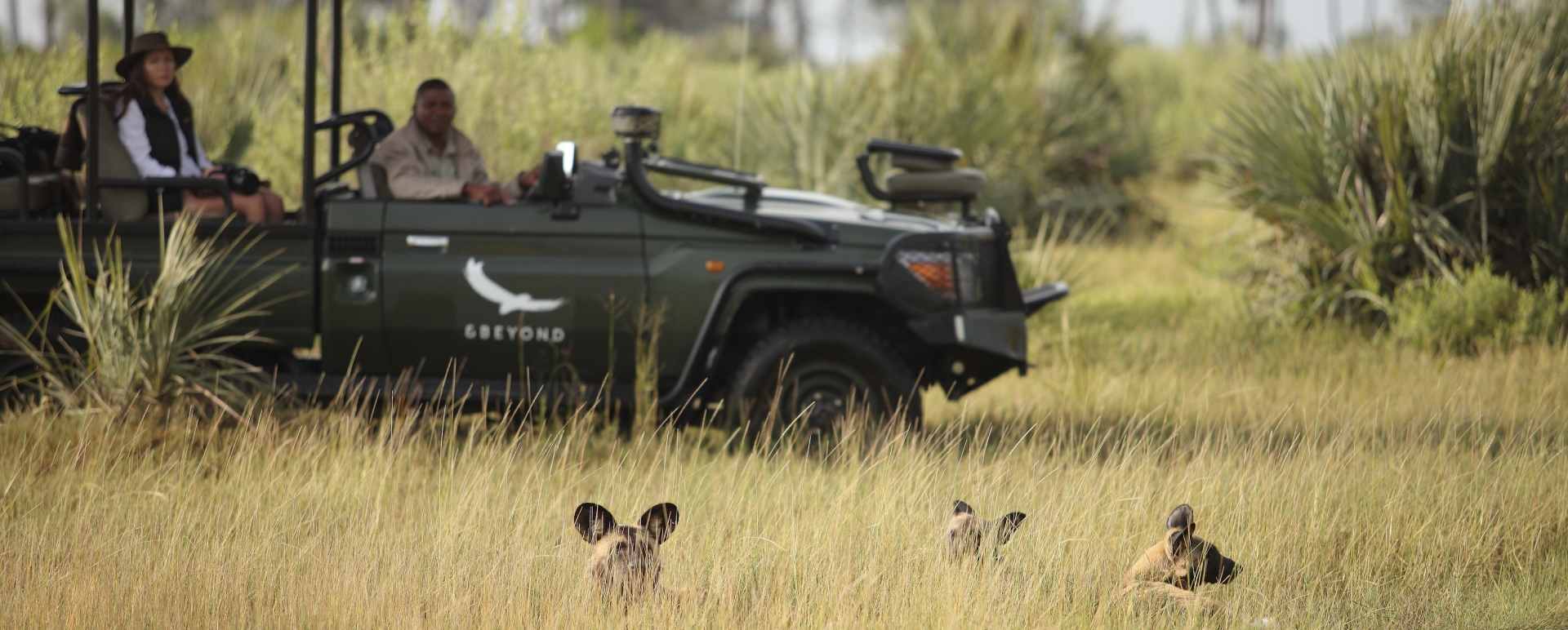 beyond game drives  