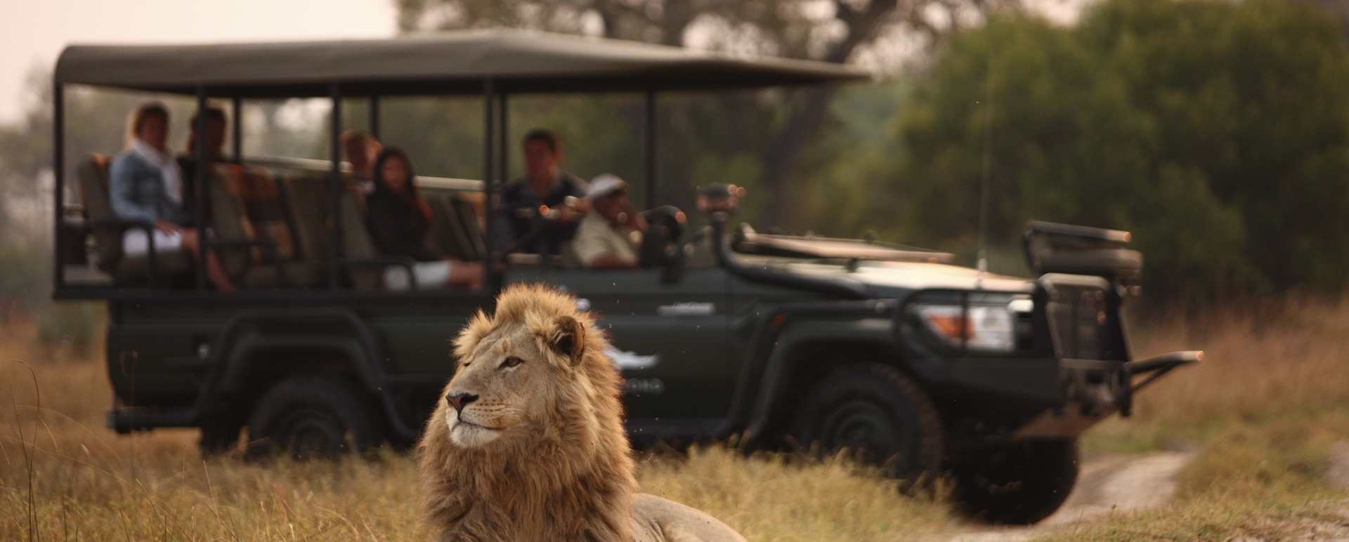 Game drives at Sandibe 