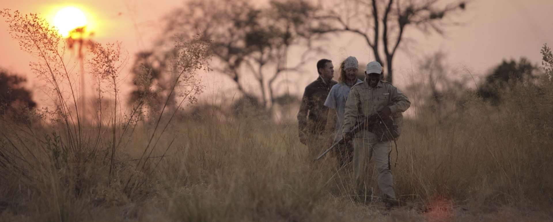 Sandibe walking safari 