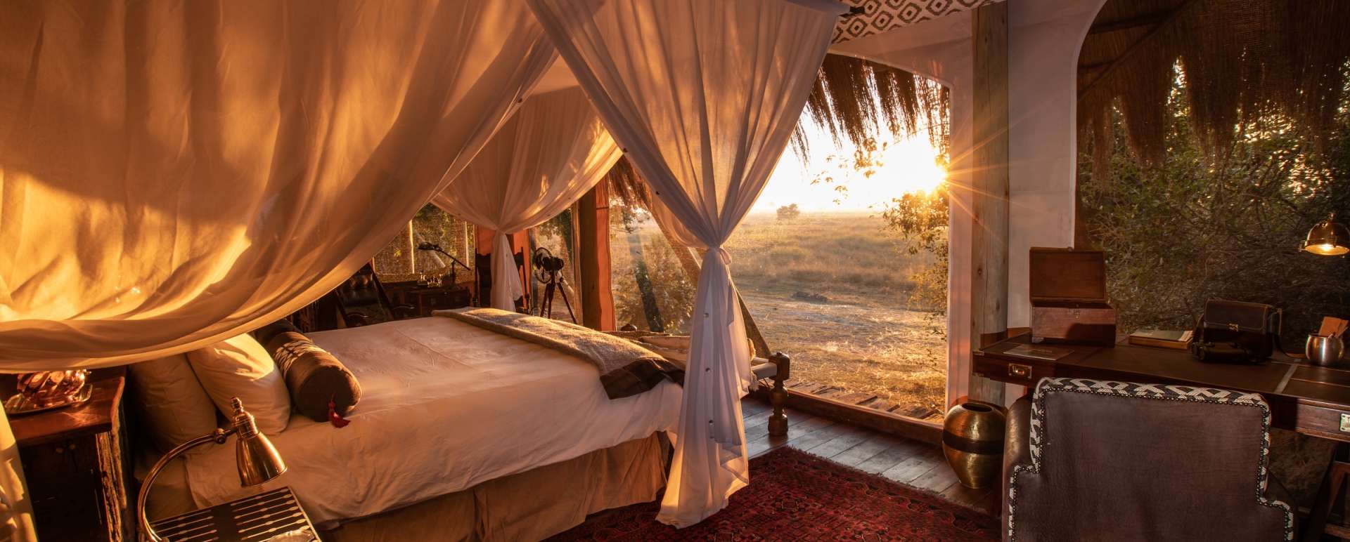 Selinda Camp 