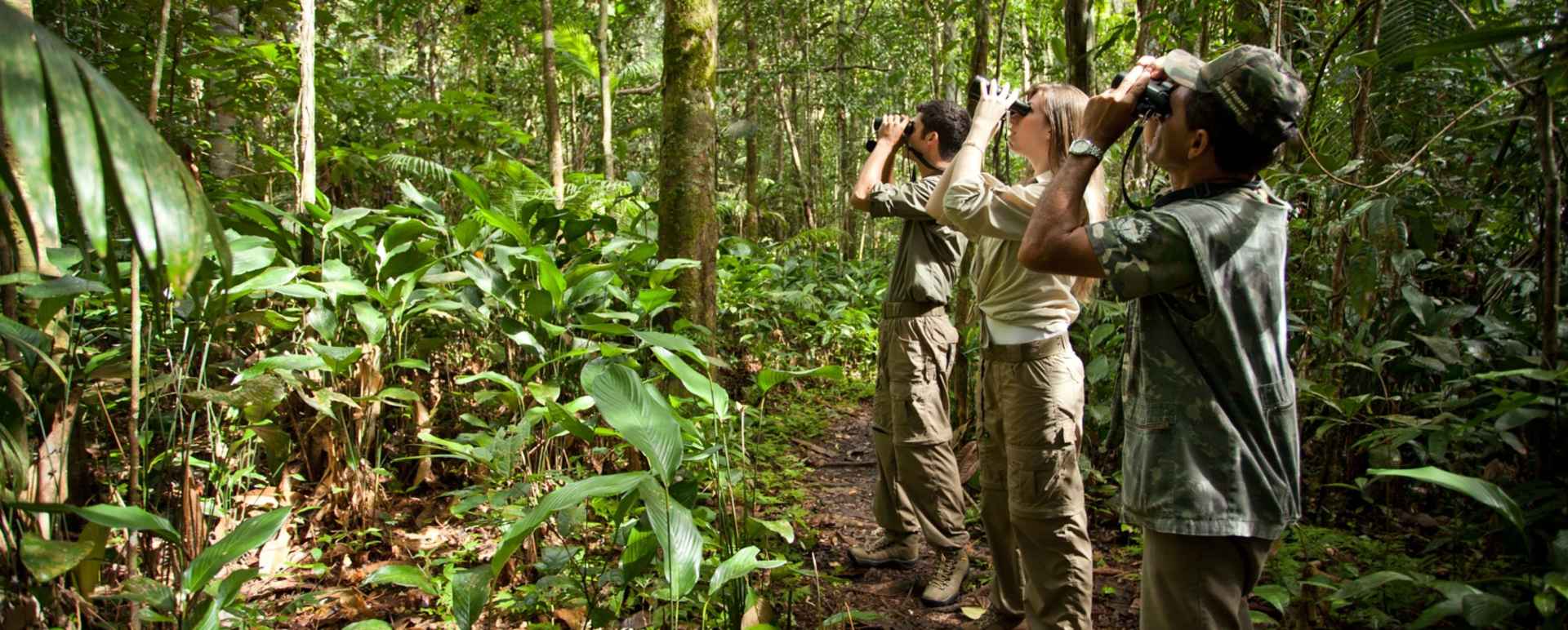 Wildlife watching - Cristalino Jungle Lodge