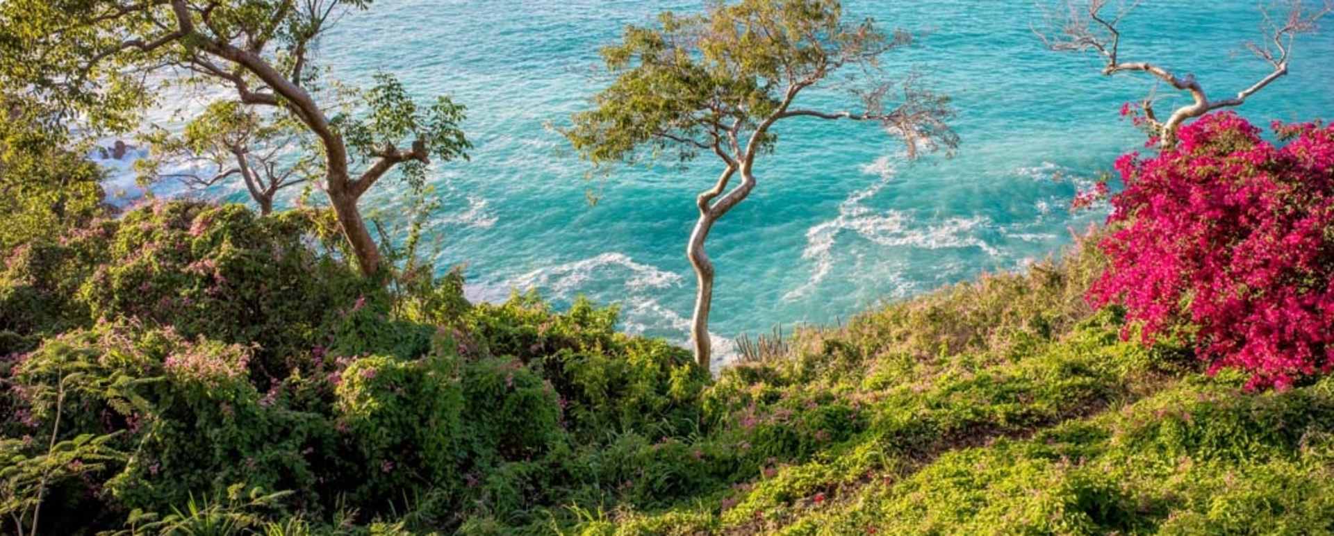 Guana Island  