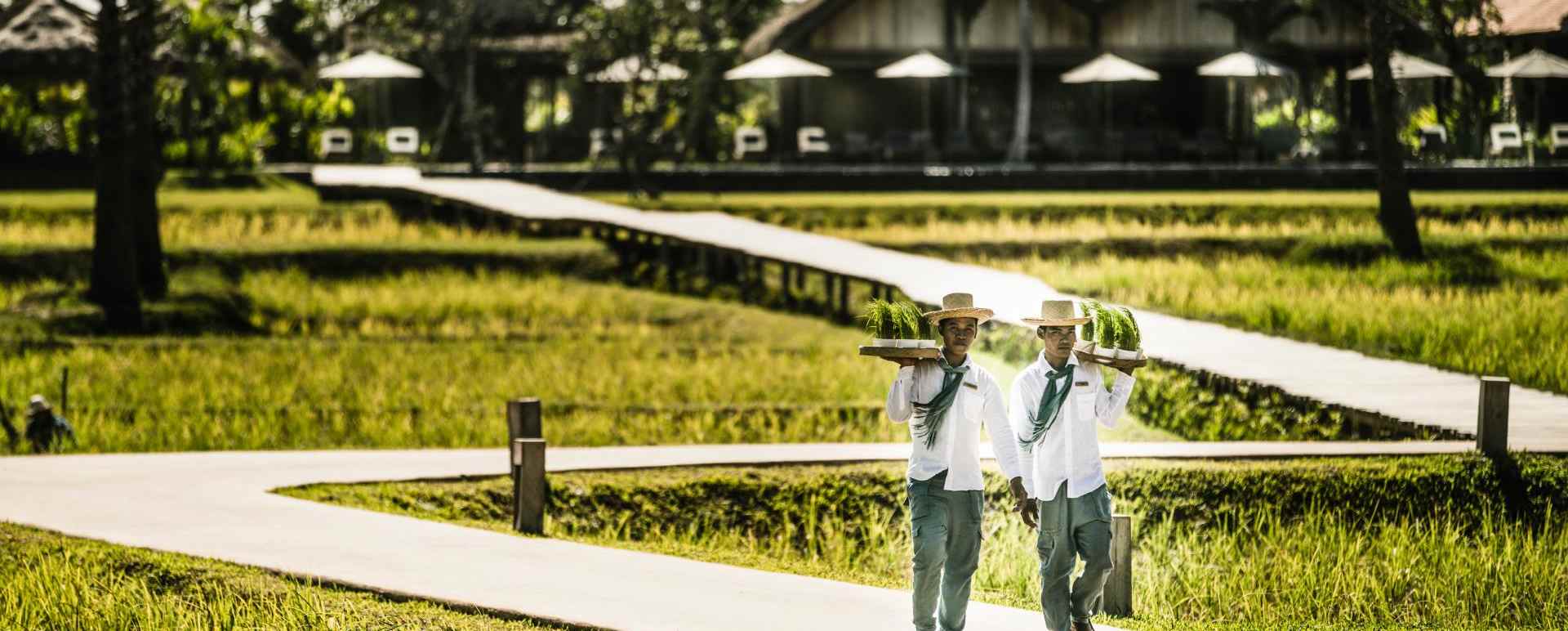 Grounds - Phum Baitang