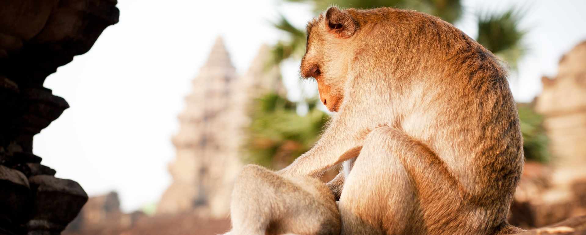 Angkor Temples - Honeymoon to Indochina