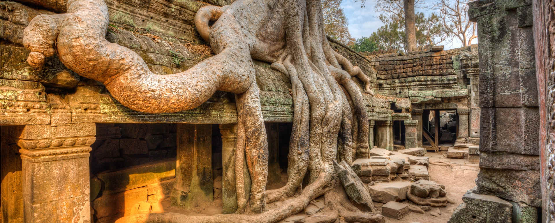 Ta Prohm - Honeymoon to Indochina