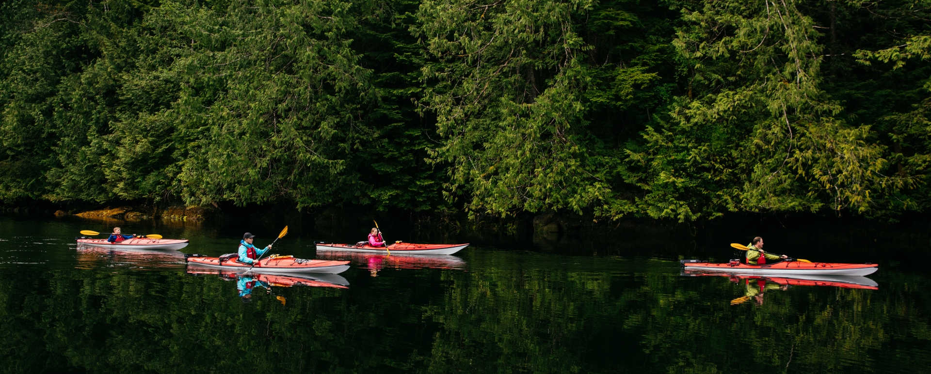 Wilderness kayaking - Nimmo Bay