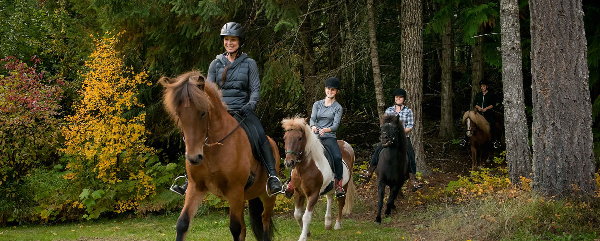 Horse riding 