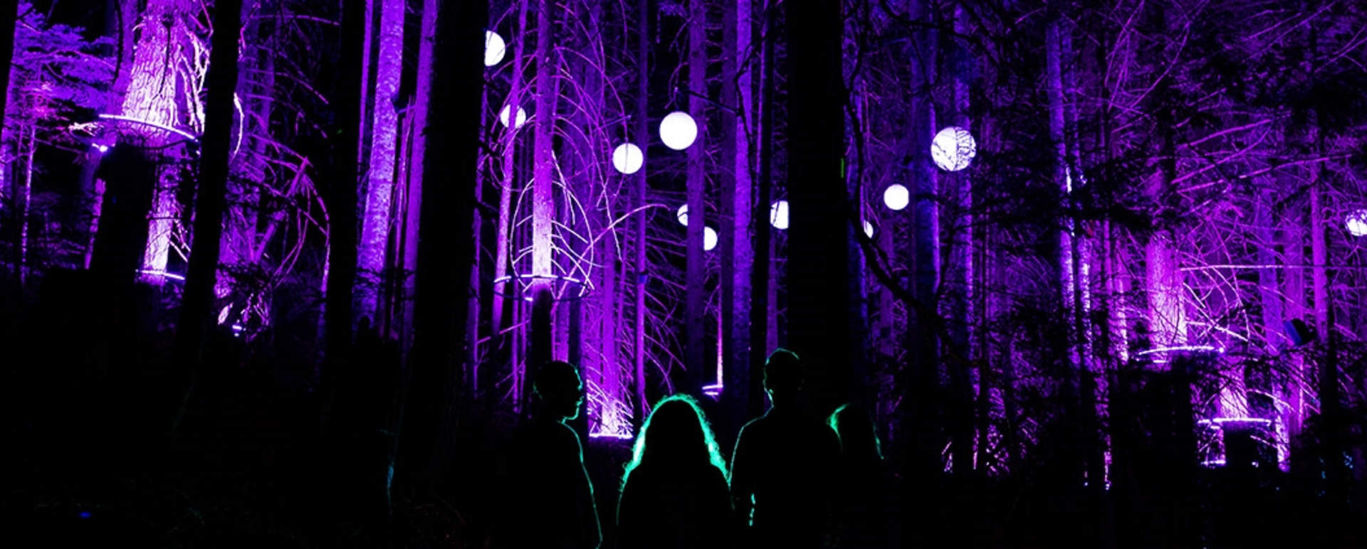 Vallea Lumina Experience