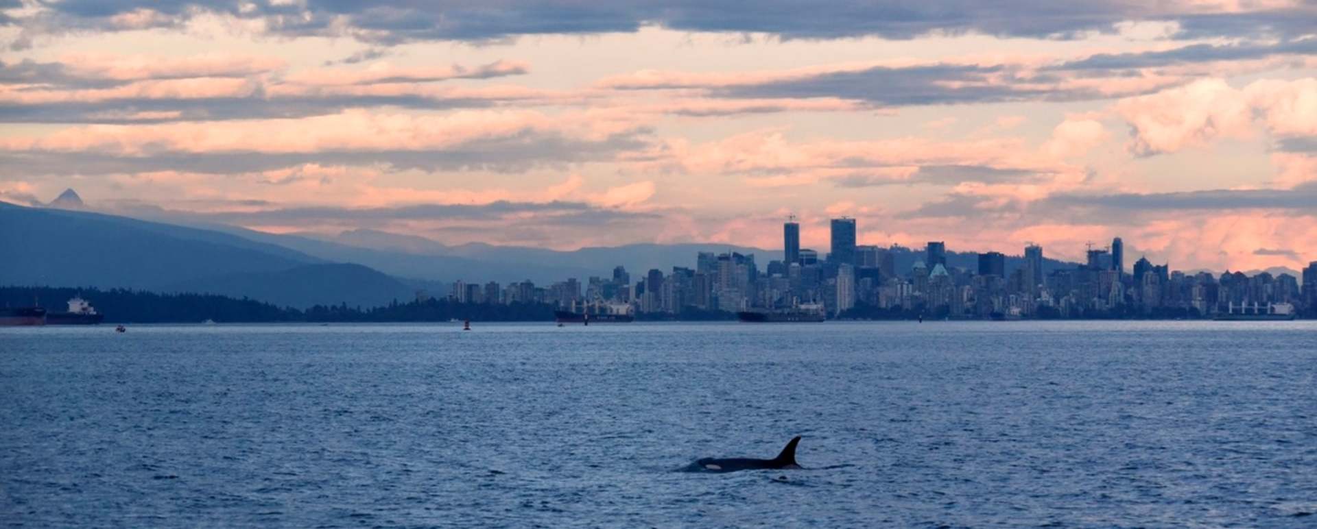 Vancouver - British Columbia with Kids 