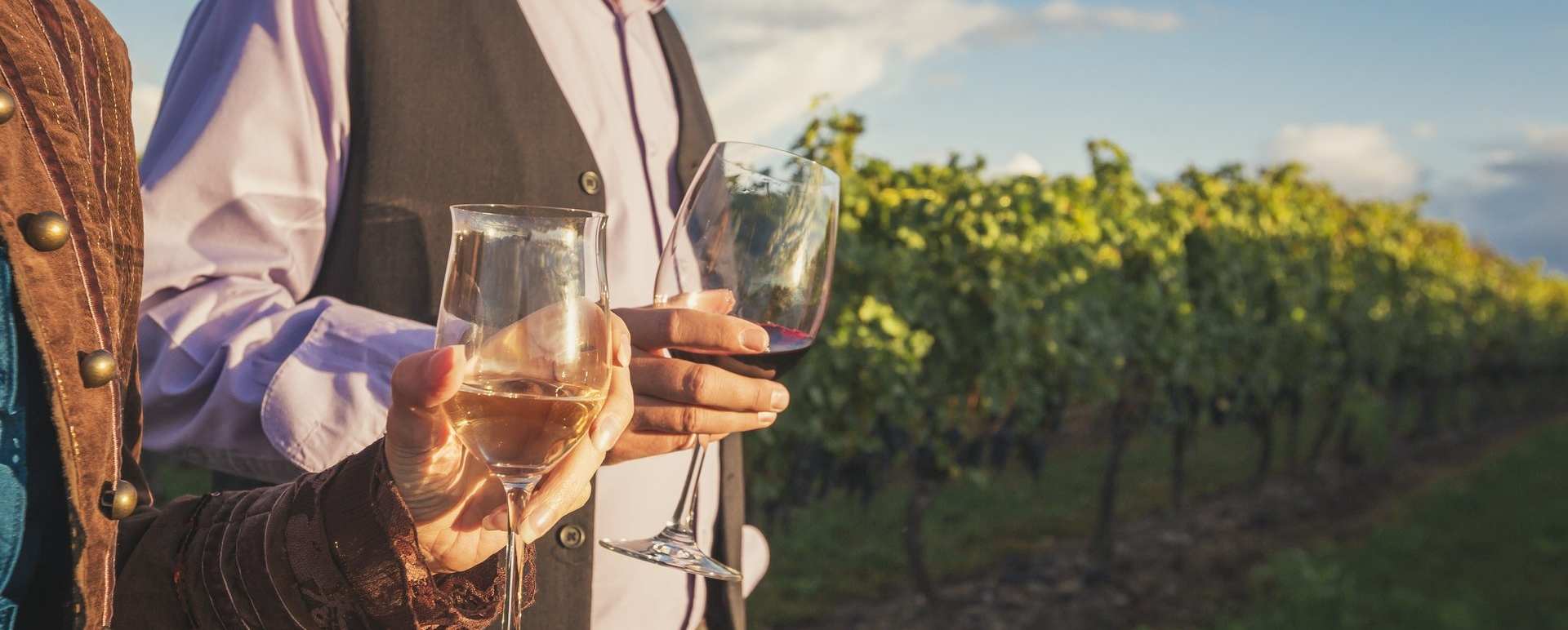 Wine Tastings - Gourmet Ontario and Quebec 