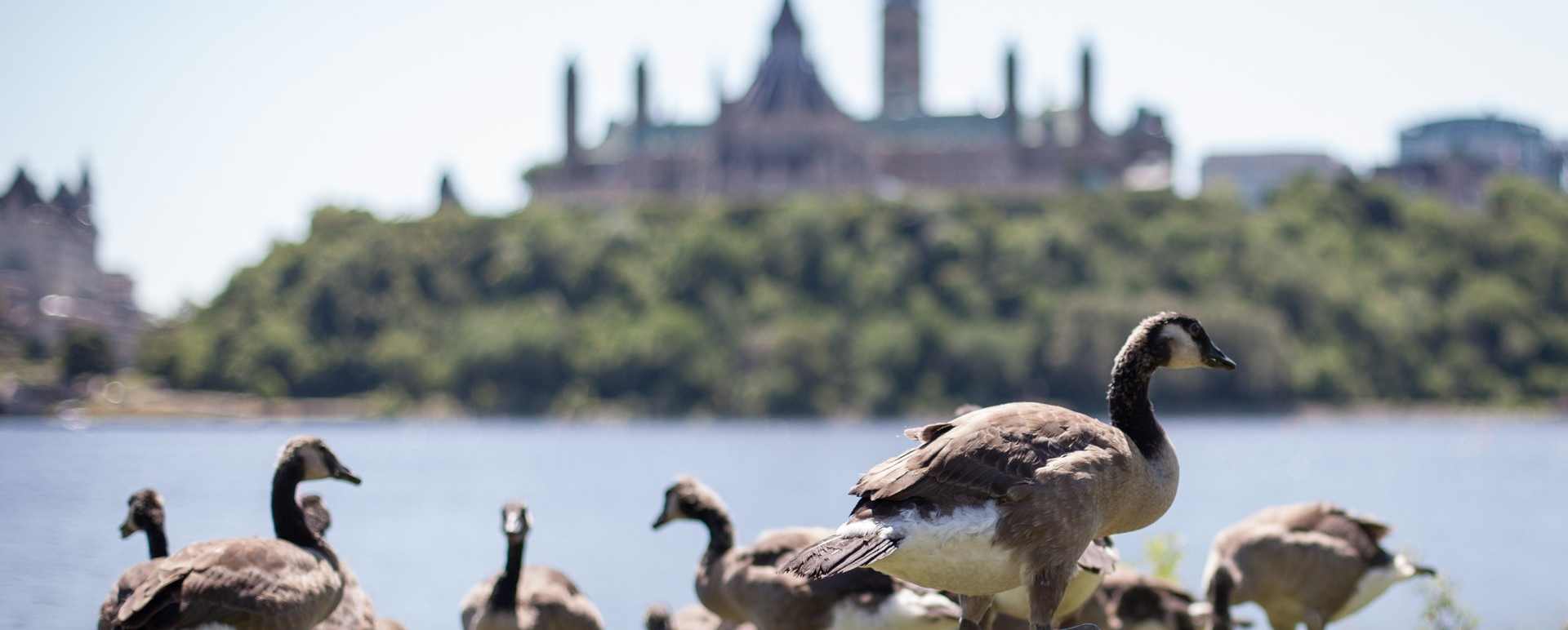 Ottawa - Gourmet Ontario and Quebec 