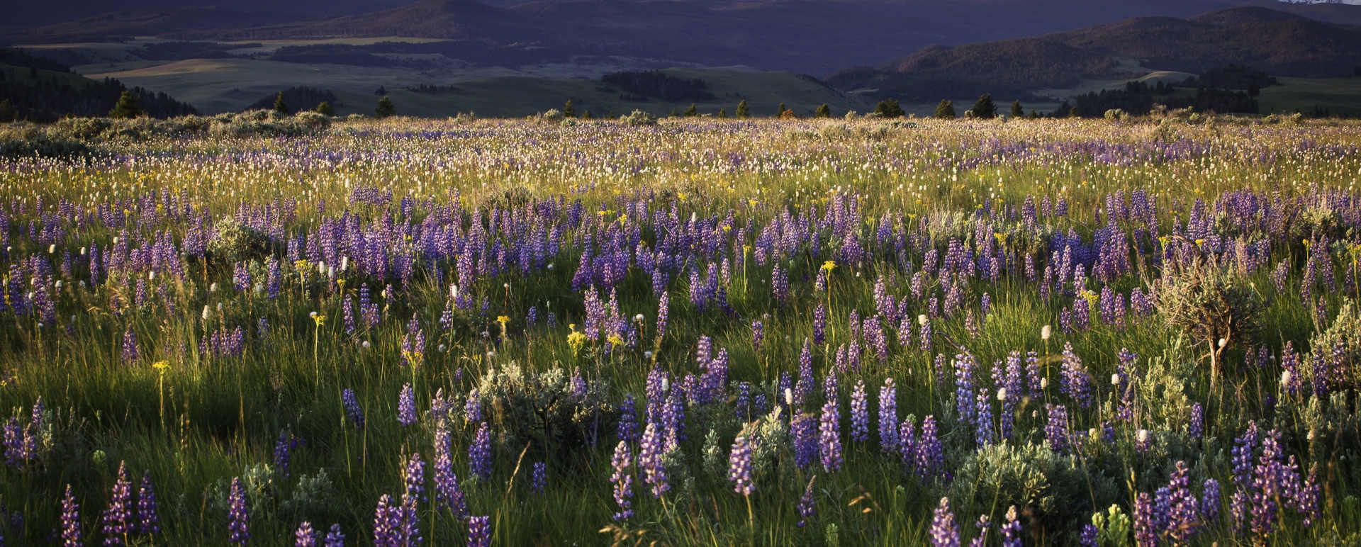 Scenery in Montana - Ultimate Western Canada and M 