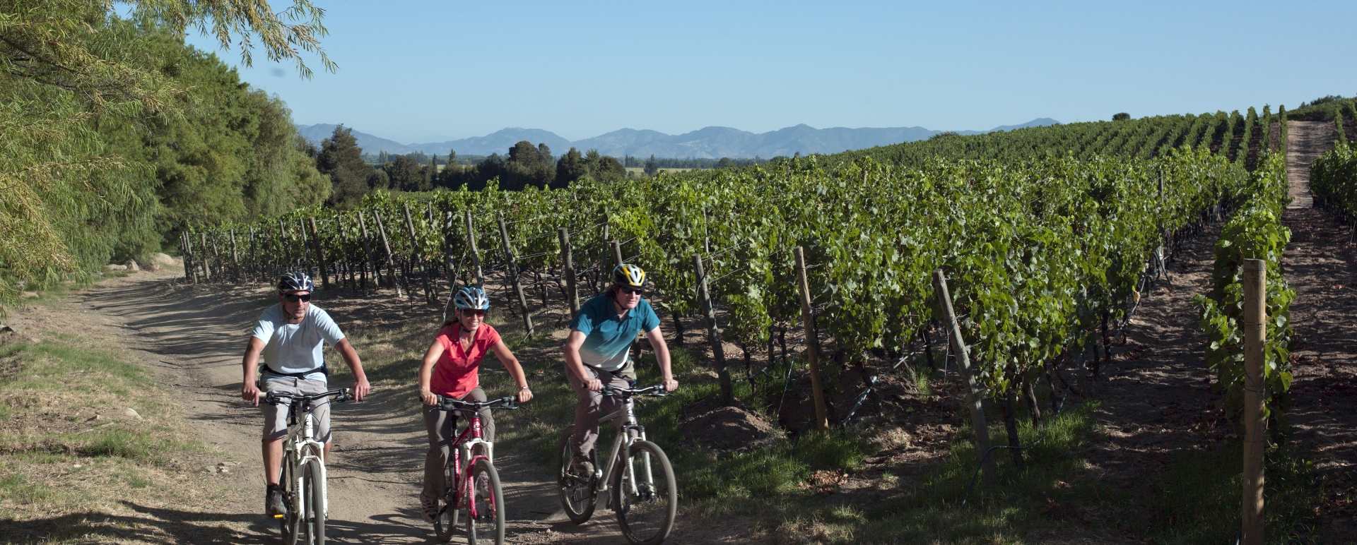 Cycling through the vineyards - Clos Apalta Residence