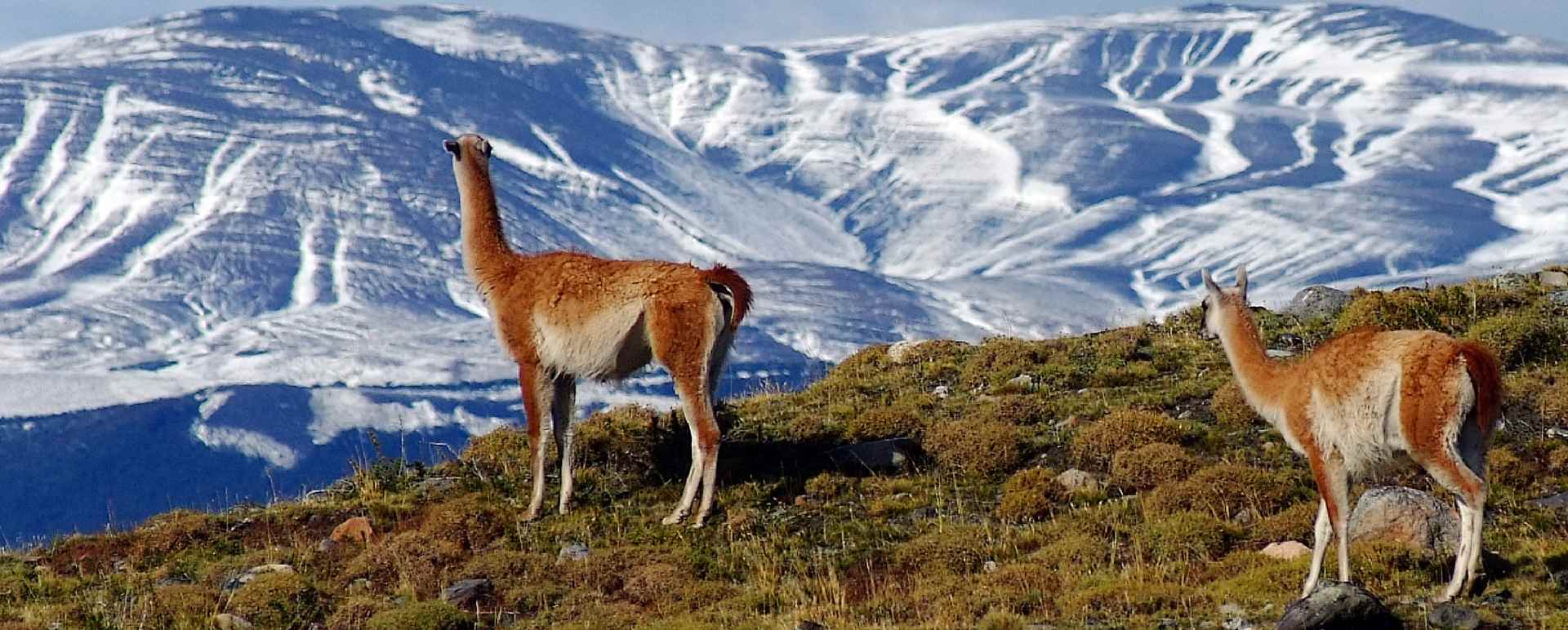 Explora Patagonia  
