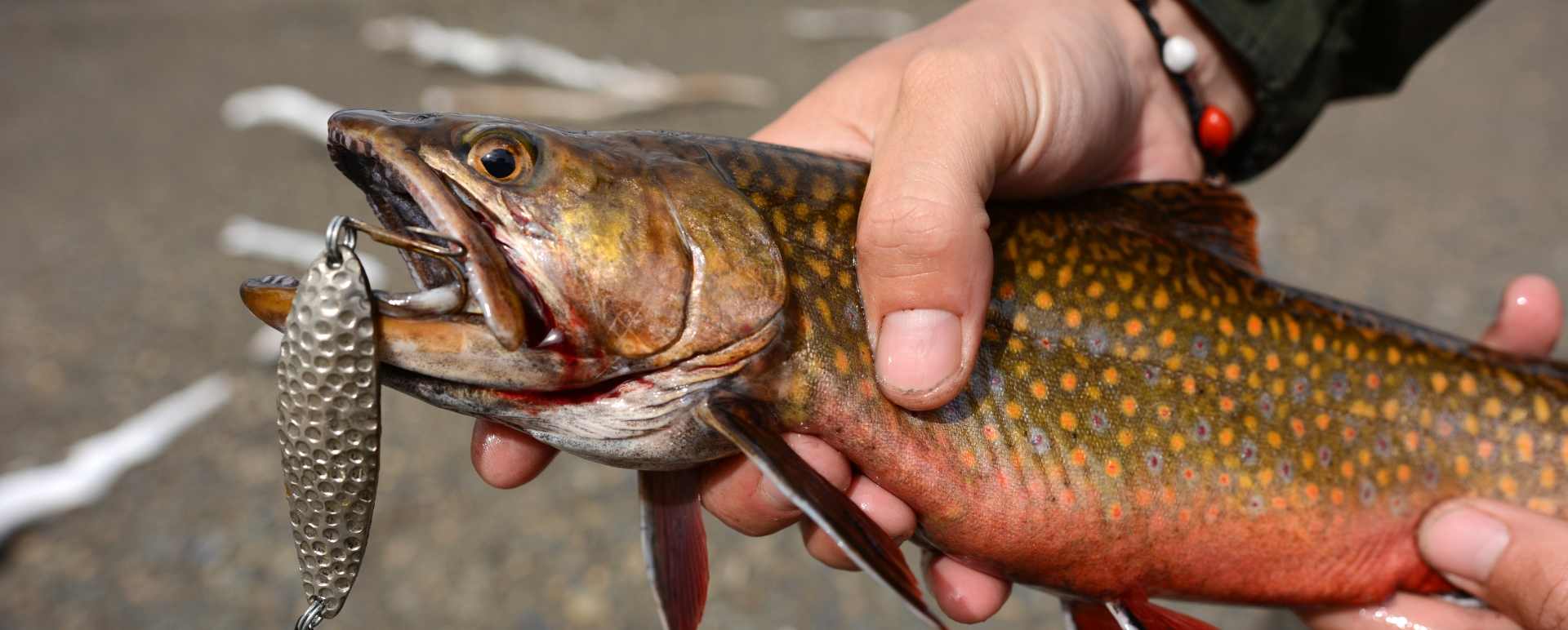 Fishing - Hotel AWA 