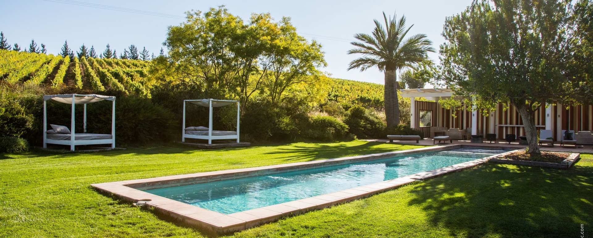 Pool - La Casona at Matetic Vineyards
