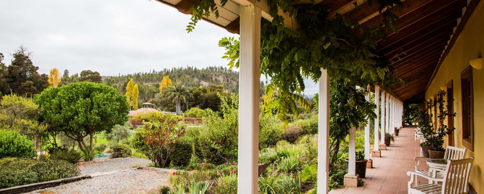 Gardens - La Casona at Matetic Vineyards