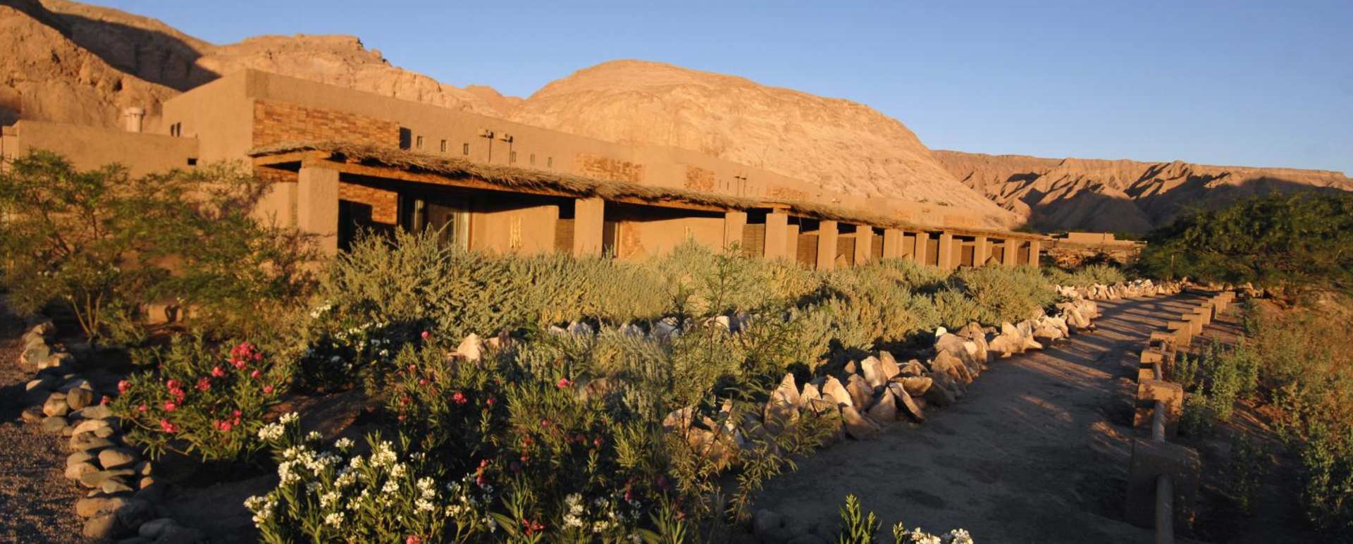 Gardens - Alto Atacama Desert Lodge & Spa