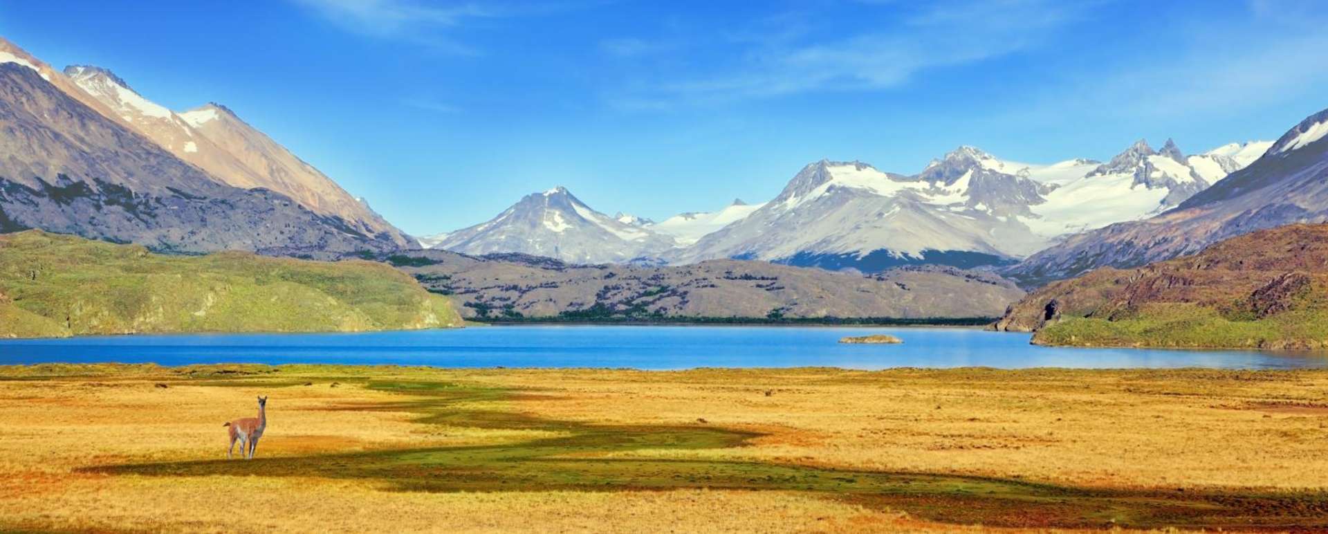 Ultimate Chile 