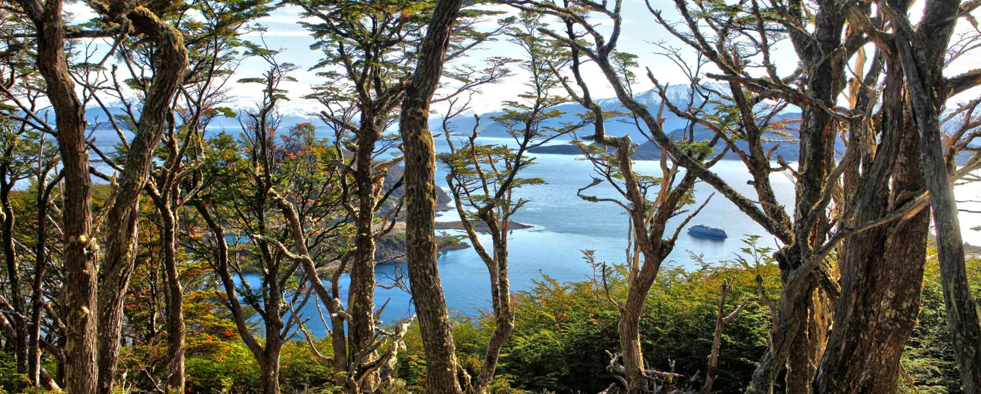 Scenery - Patagonia by land & sea