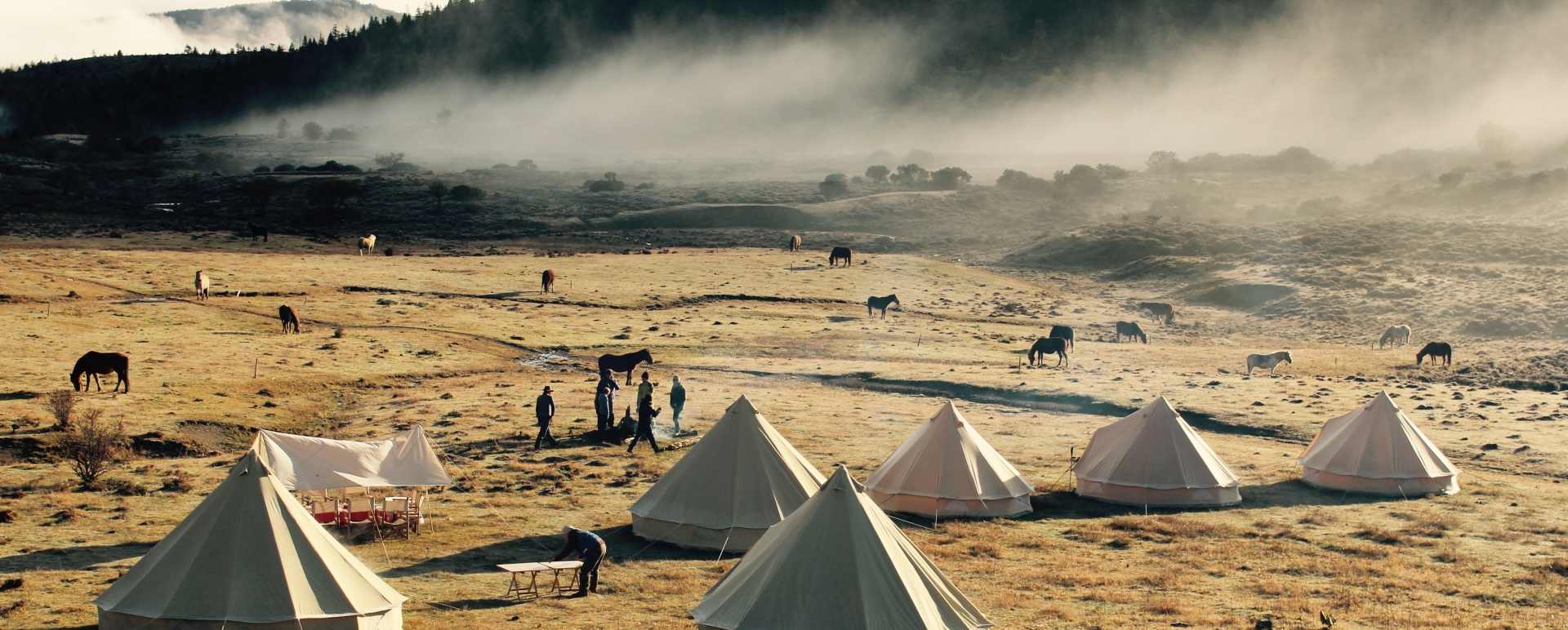 Bell Tent 