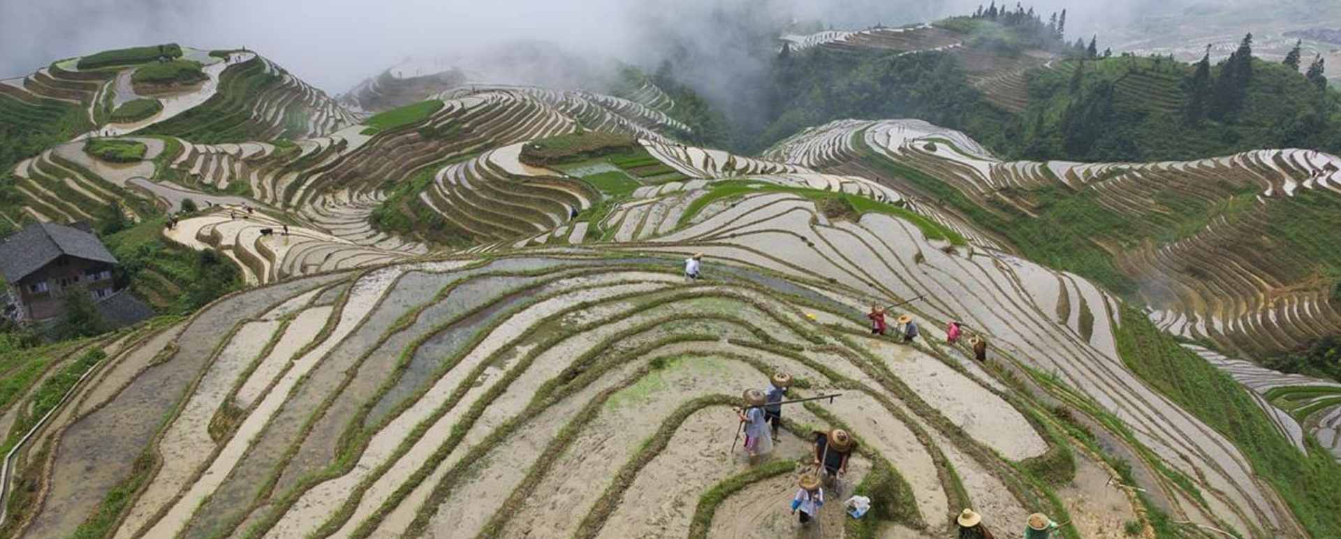 Li An Lodge   - Rice Terraces 