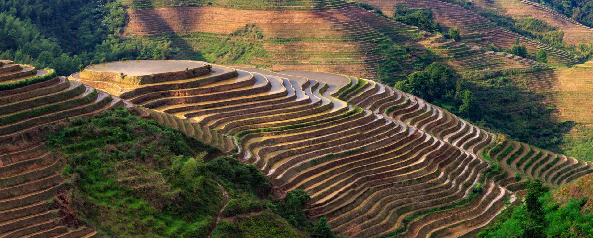 Longsheng 