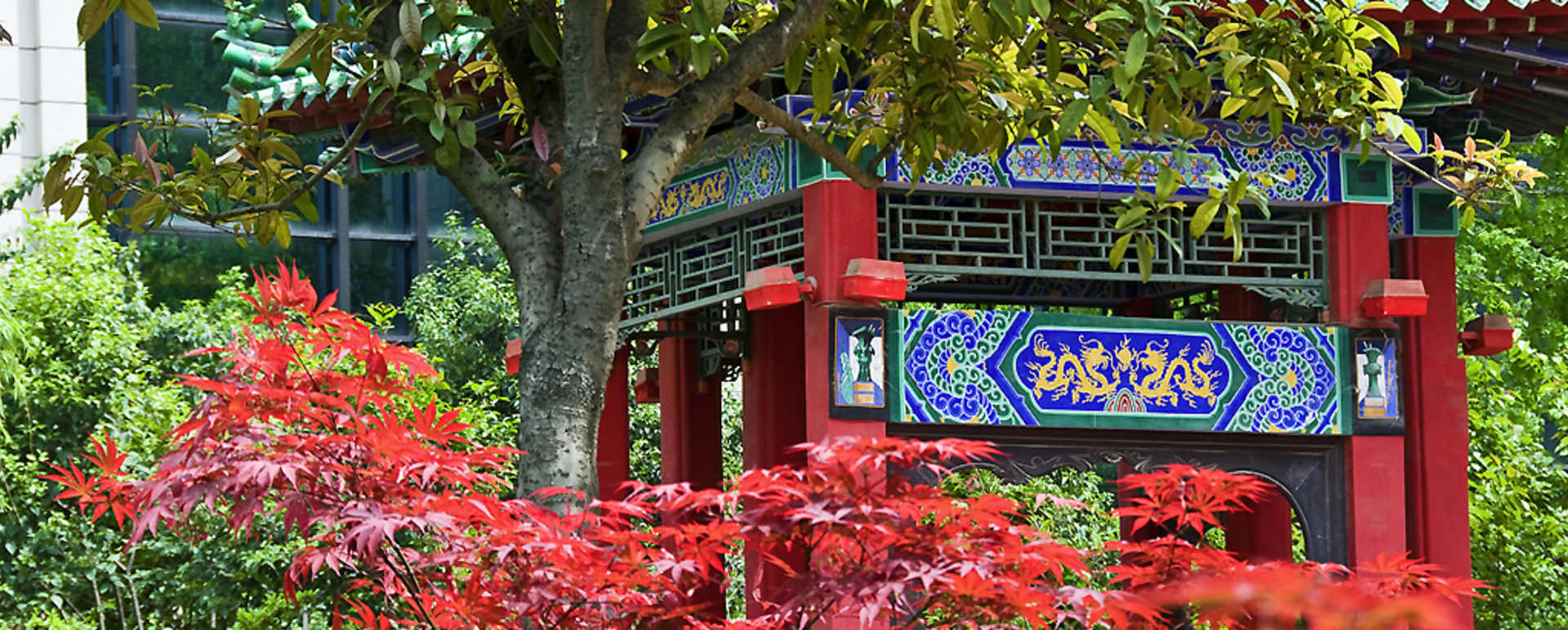 Garden - Sofitel On Renmin Square