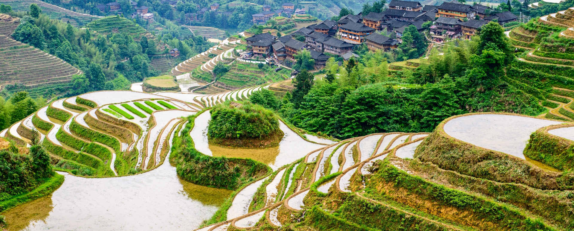 Longsheng Rice Fields 