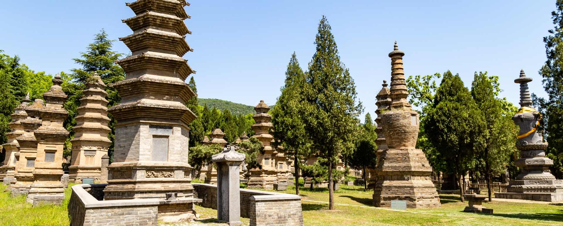 Pagoda Forest Shaolin Temple 
