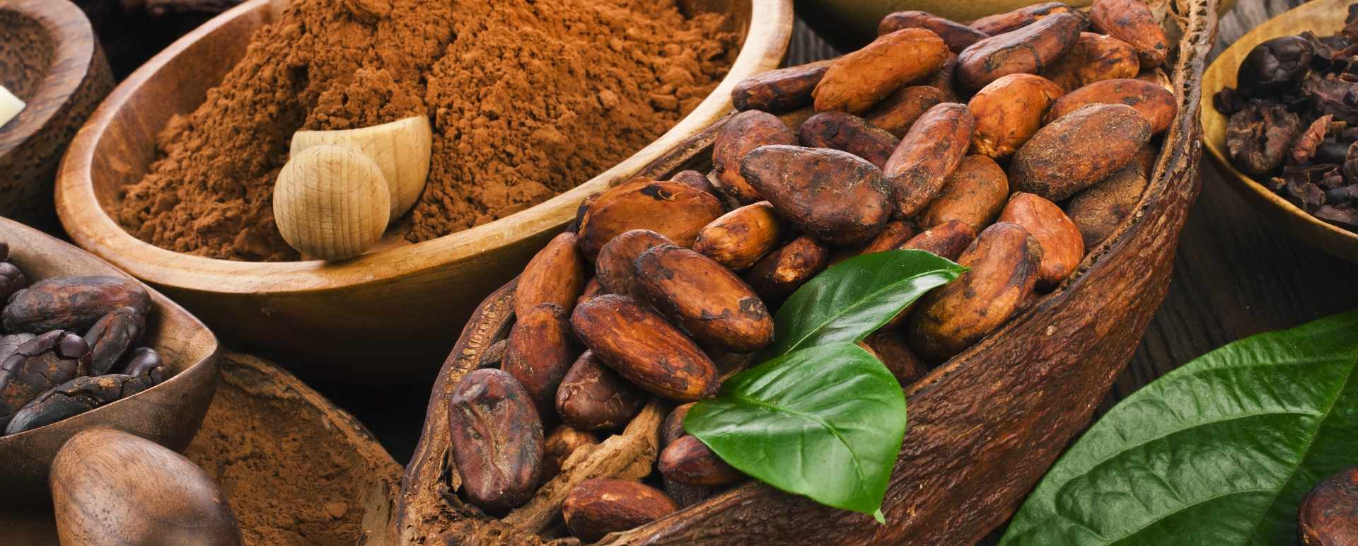 Rum Cacao Tasting