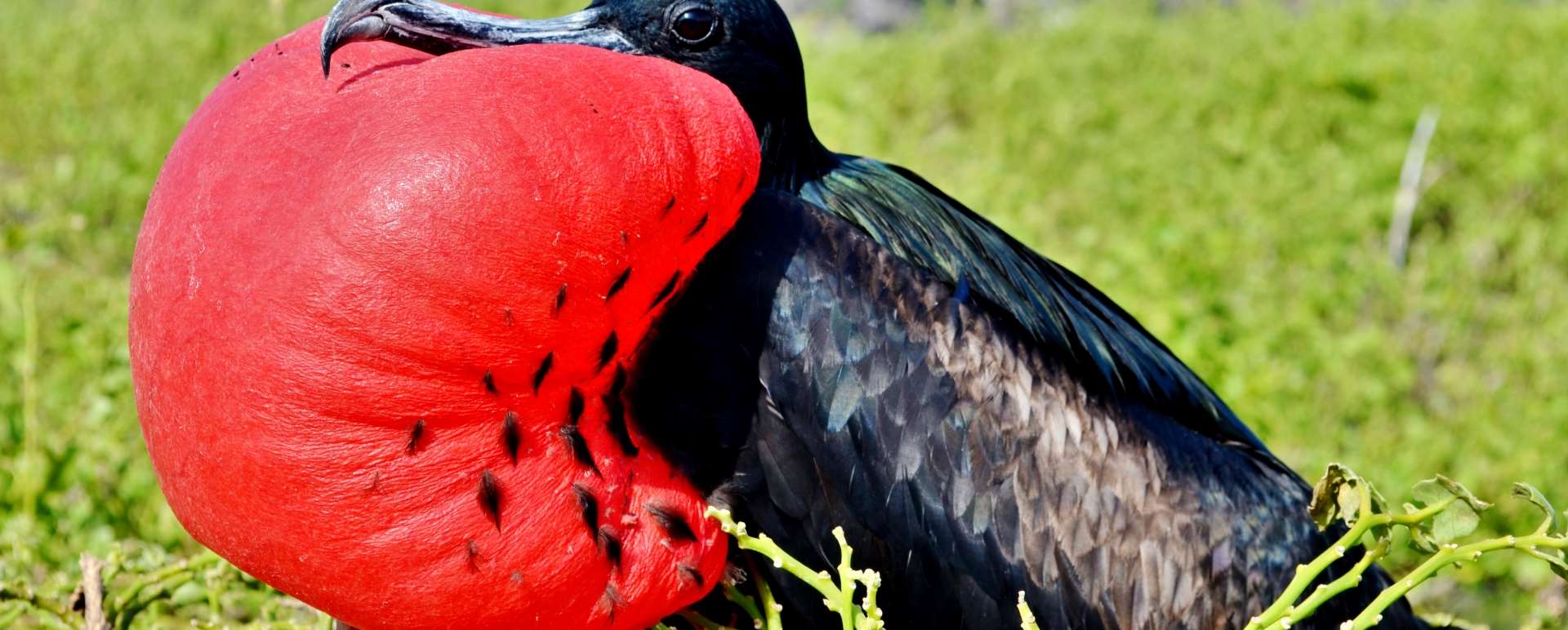 Ultimate Colombia and Galapagos 