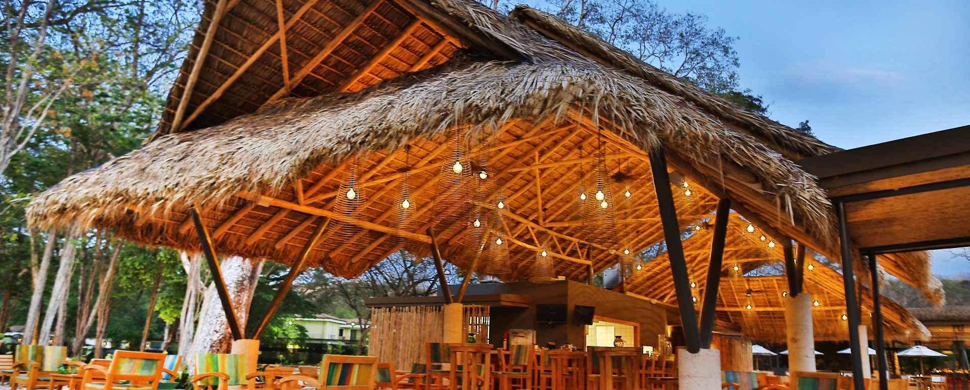 Bar - El Mangroove 