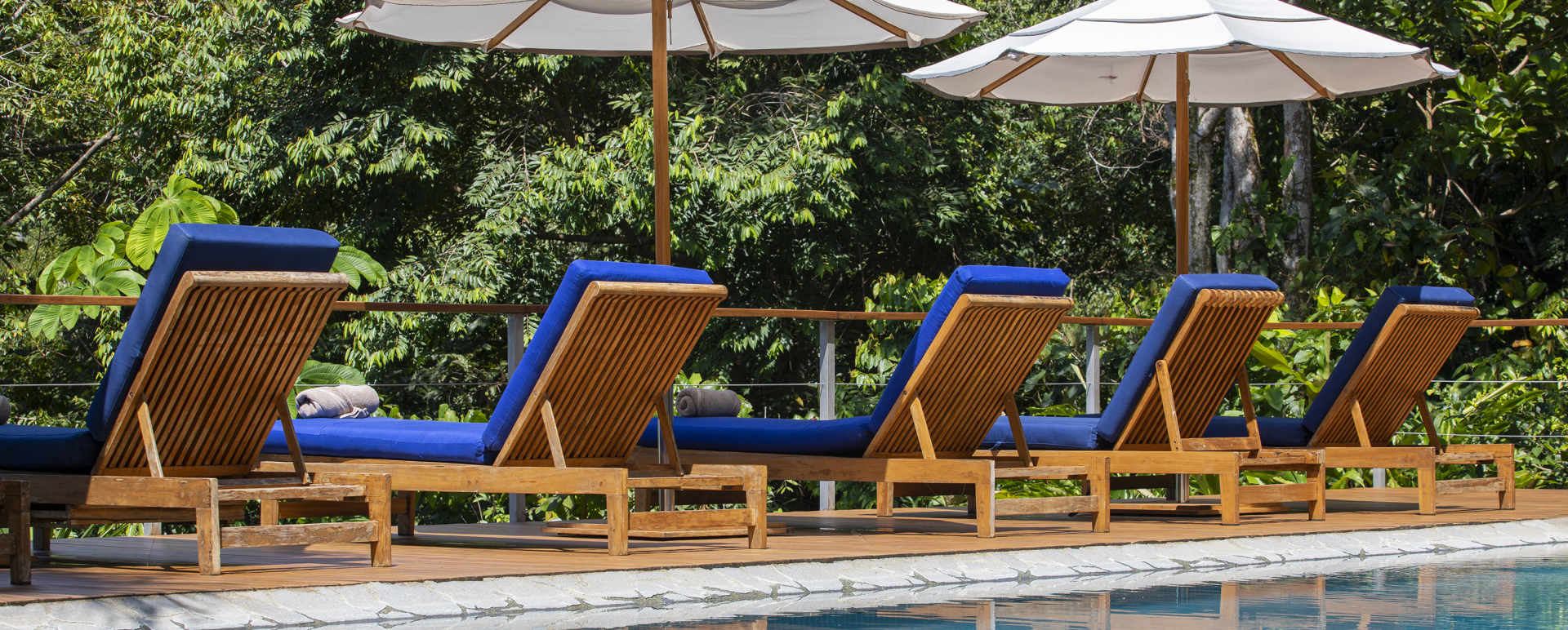 Pool  Sun loungers 