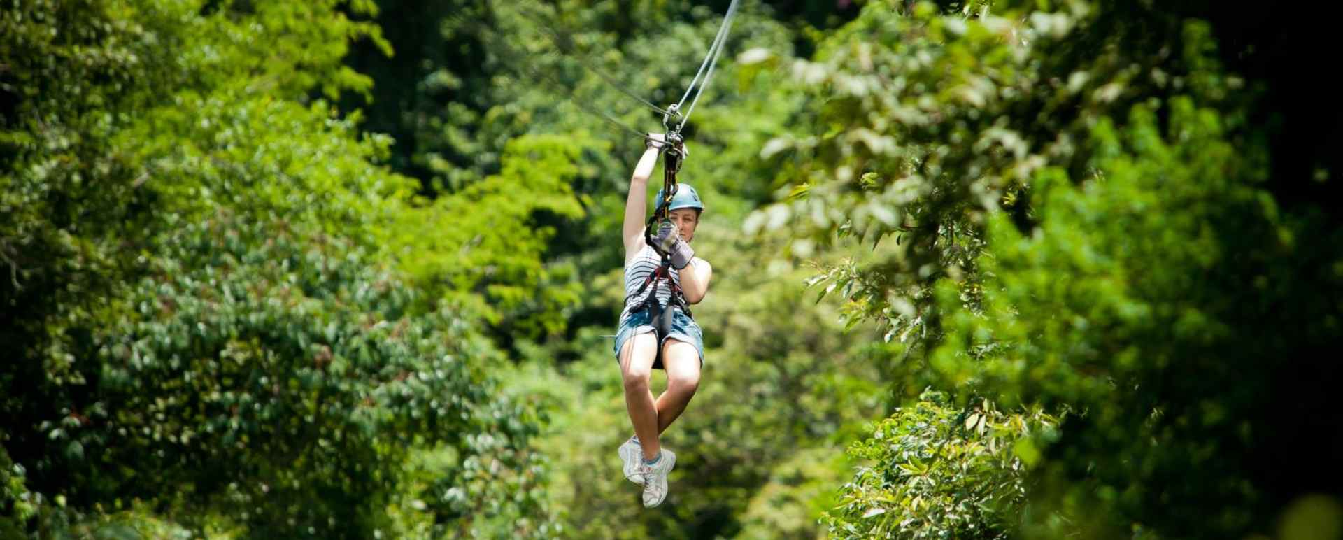 Ultimate Zipwiring