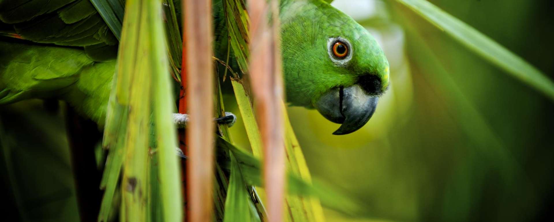 Active Costa Rica 