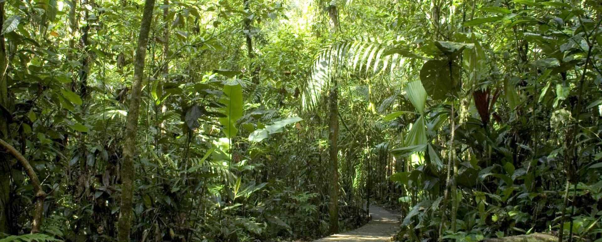 Active Costa Rica 
