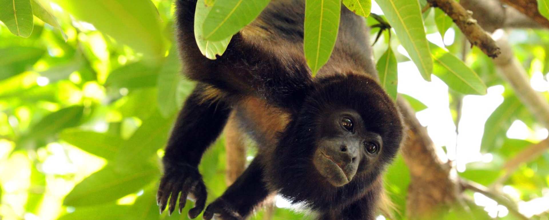 Active Costa Rica 