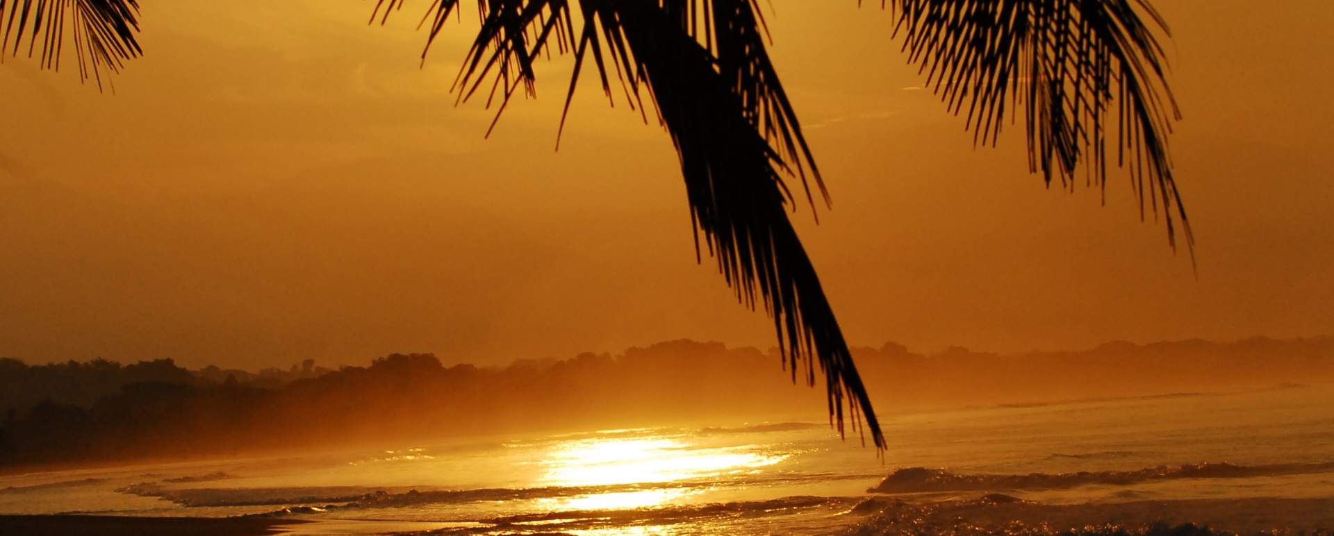 Surf the Pacific 