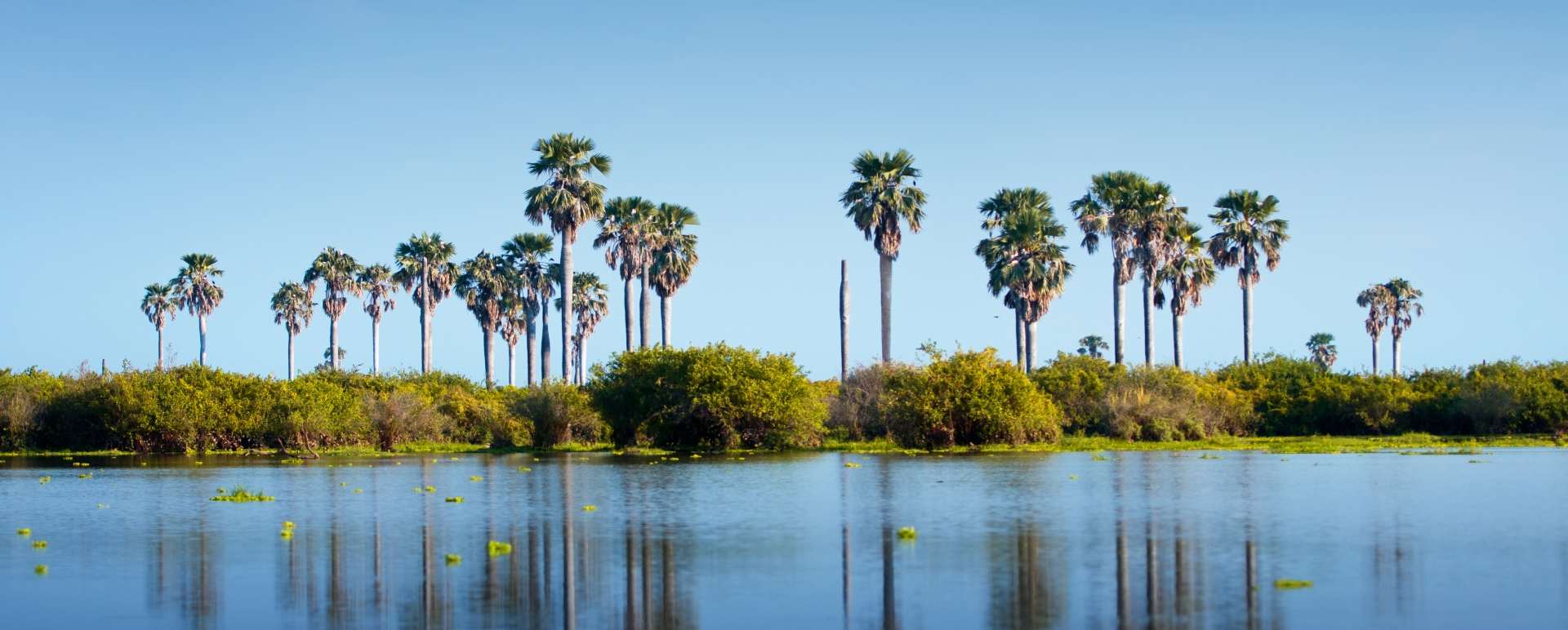Nyerere National Park