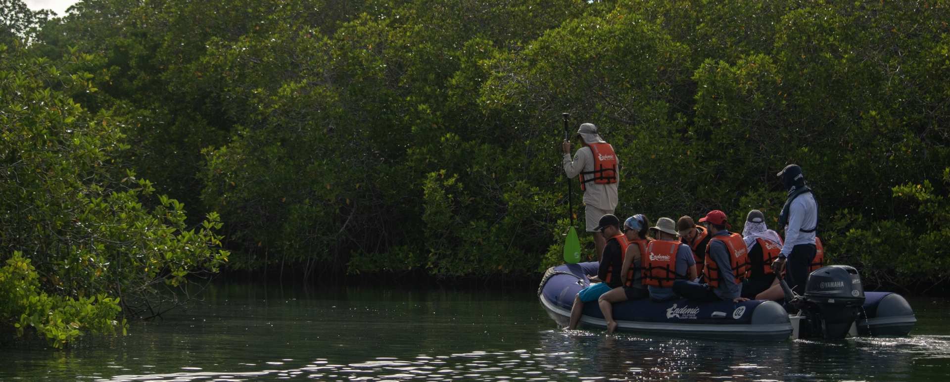 Panga Rides