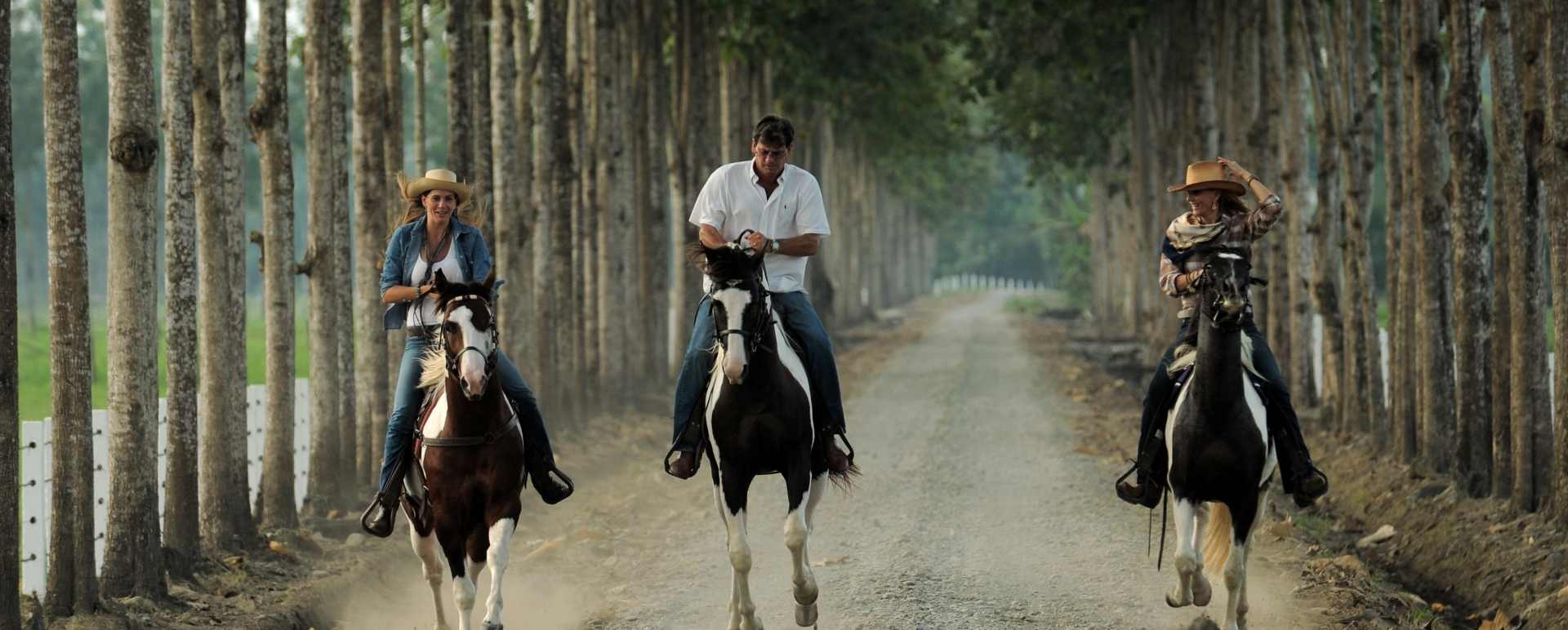 Horse riding 