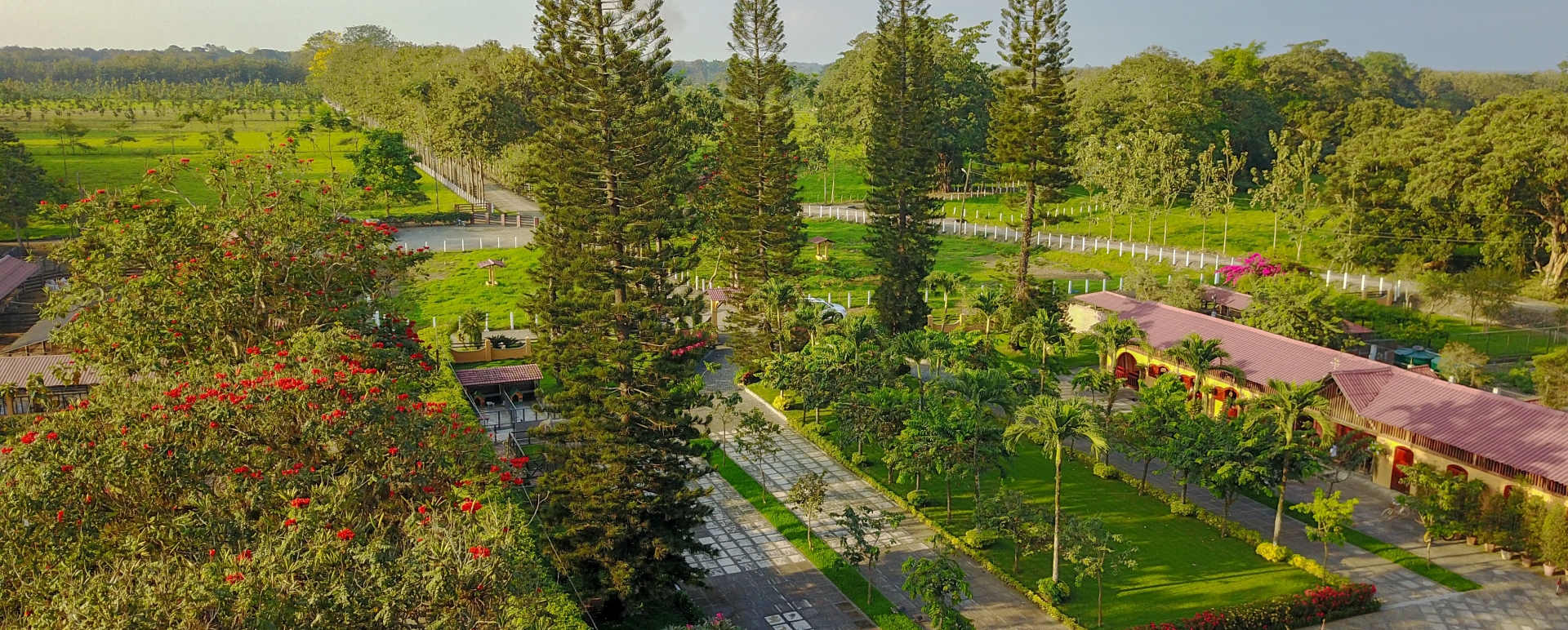 Gardens and grounds 