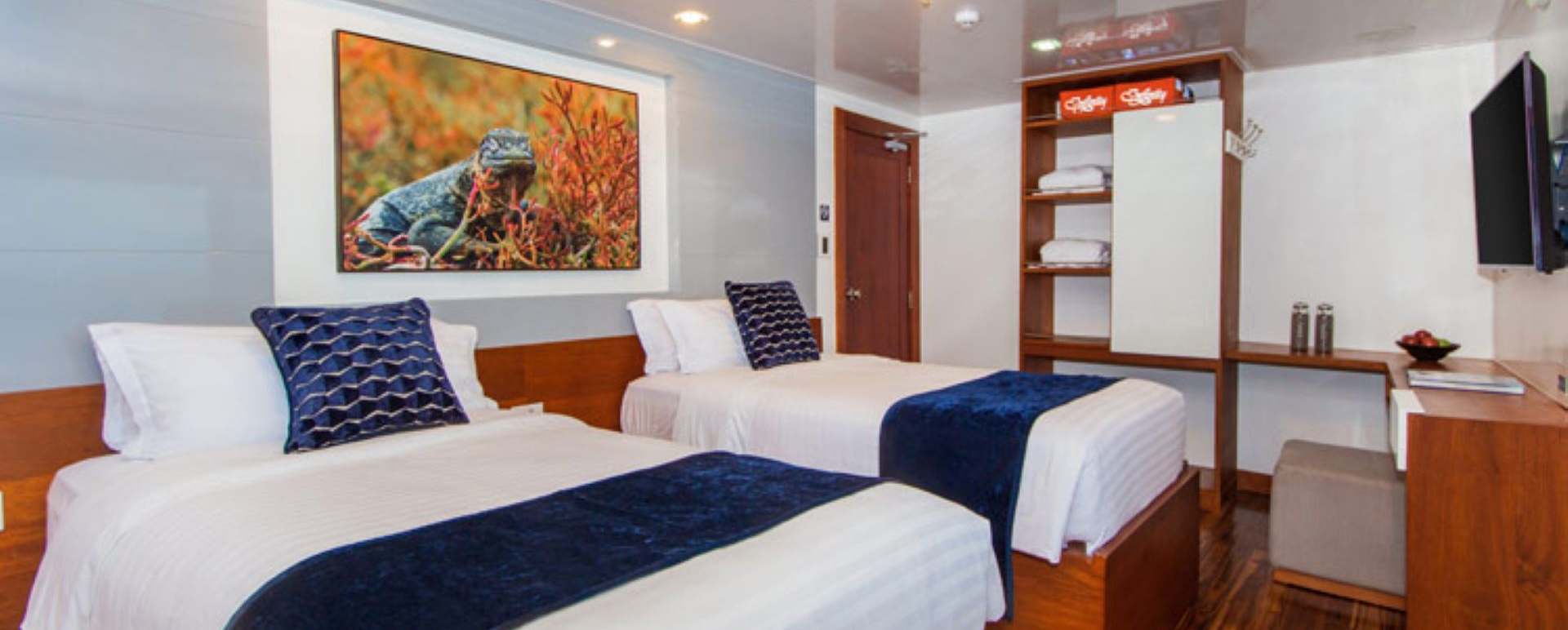 Infinity Galapagos Yacht - twin room 